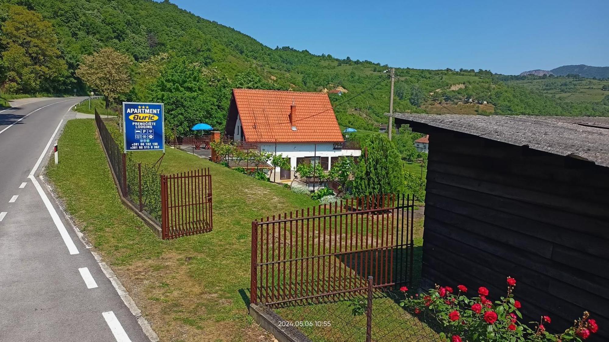 Apartman Duric Donji Milanovac Esterno foto