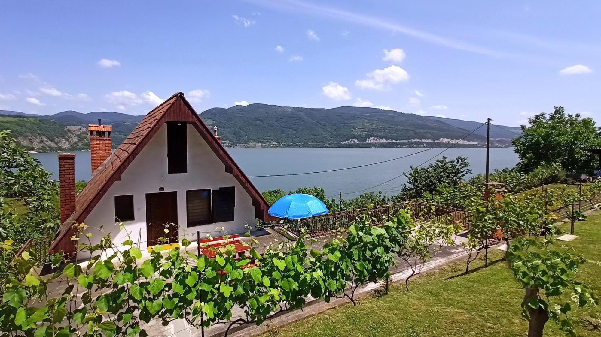 Apartman Duric Donji Milanovac Esterno foto
